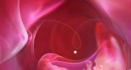 深圳2026试管收费价目表情况如何？附深圳试管费用明细