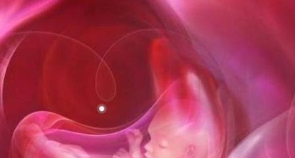 45岁做试管婴儿成功率与什么相关？备孕家庭必看！