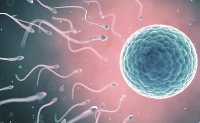 二代试管费用总共多少？