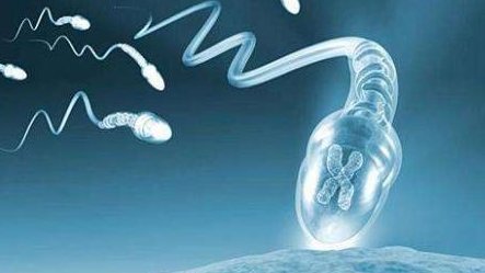 克拉玛依本地医院能做试管婴儿吗？