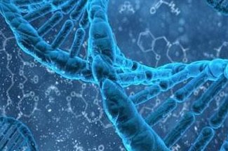 2026六盘水市最新男性陪产假有多少天？试管婴儿可以增加产假吗？